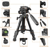 JEIFN Q100 Tabletop Camera Tripod for Travel and Indoor with 3-Way Pan Head, 1/4 inches Quick Release Plate and Phone Clip for DSLR Camera (Black)