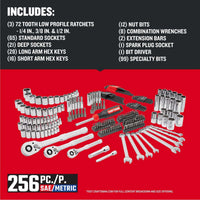 CRAFTSMAN 256-Piece Standard (SAE) and Metric Polished Chrome Mechanics Tool Set with Hard Case